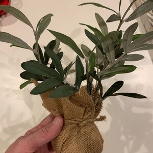 Green Faux Olive Branch with Burlap Wrap